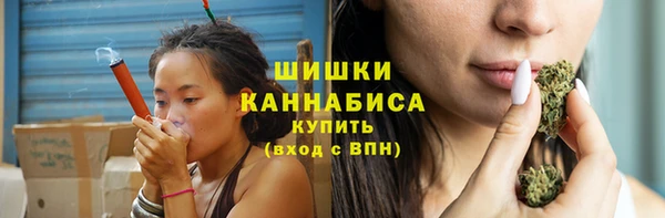 прущие грибы Верея