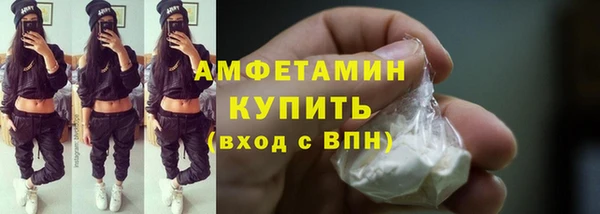 прущие грибы Верея