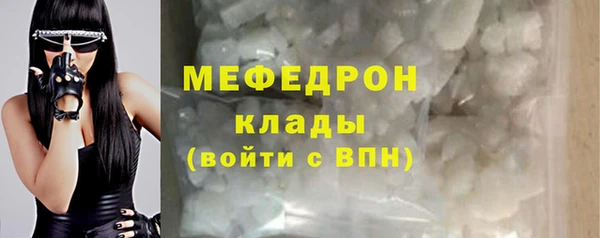 прущие грибы Верея