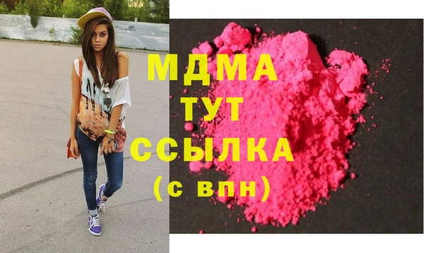 прущие грибы Верея