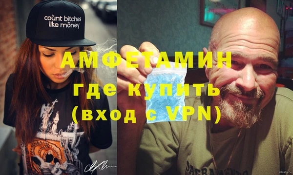 прущие грибы Верея