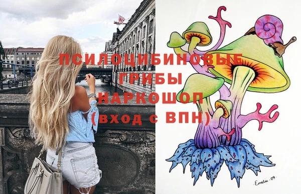 прущие грибы Верея