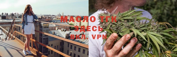 прущие грибы Верея